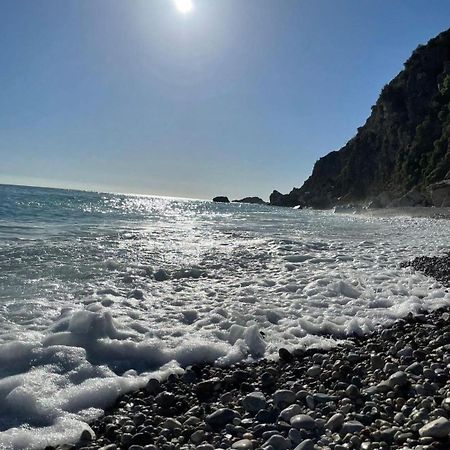 Apartments Villa Simonovic Petrovac ภายนอก รูปภาพ